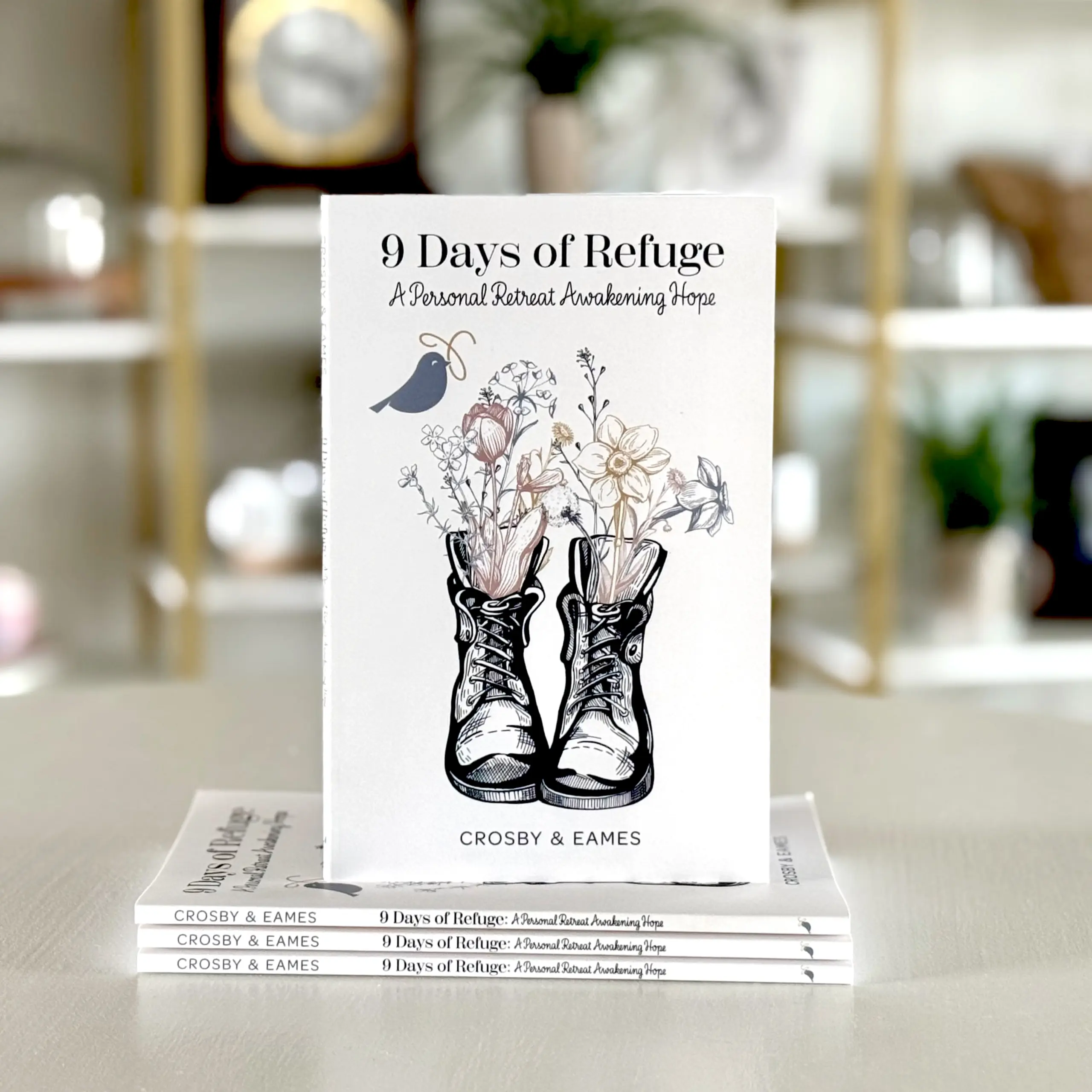 9 Days of Refuge Book