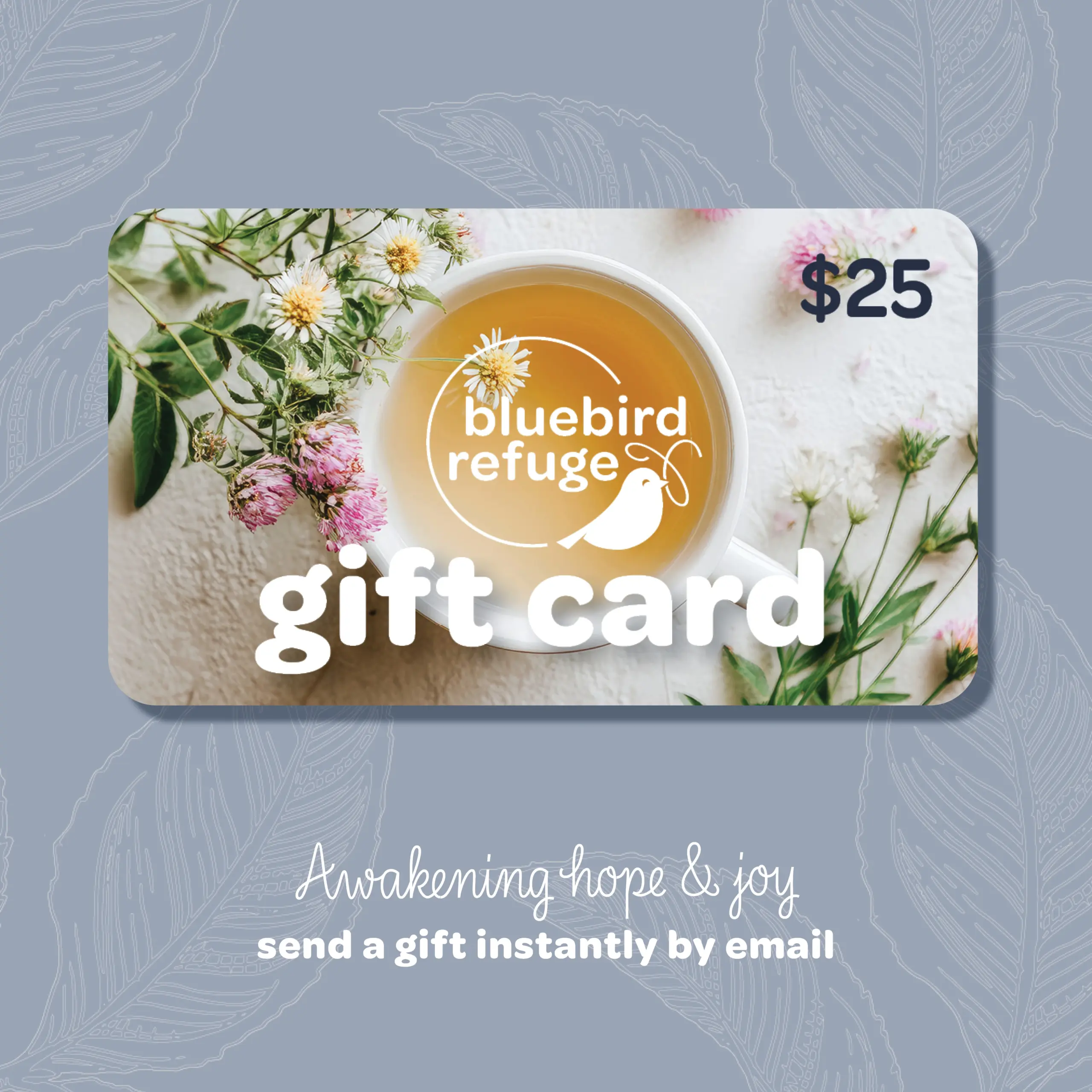 $25 Gift Card