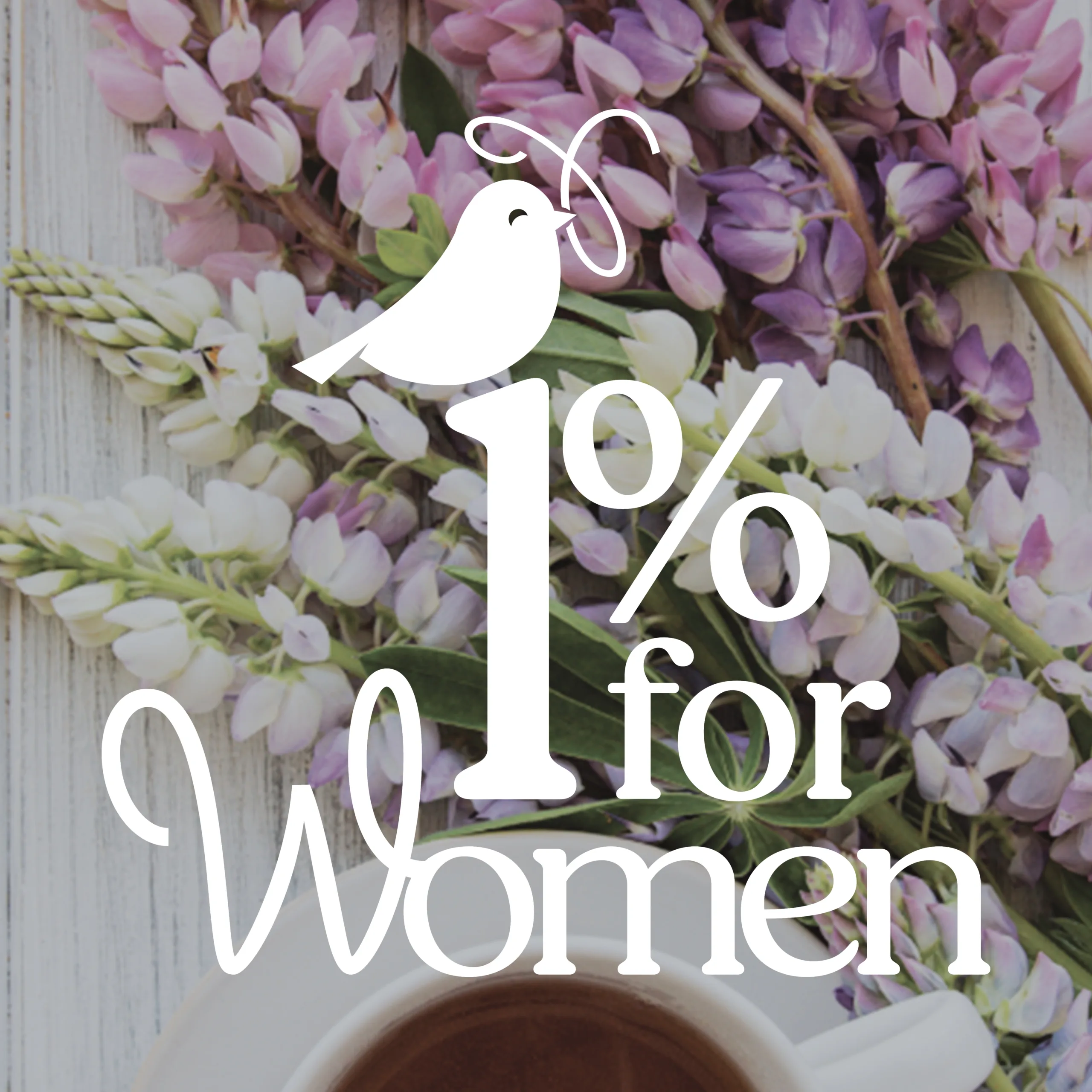 1% for Women Goals 