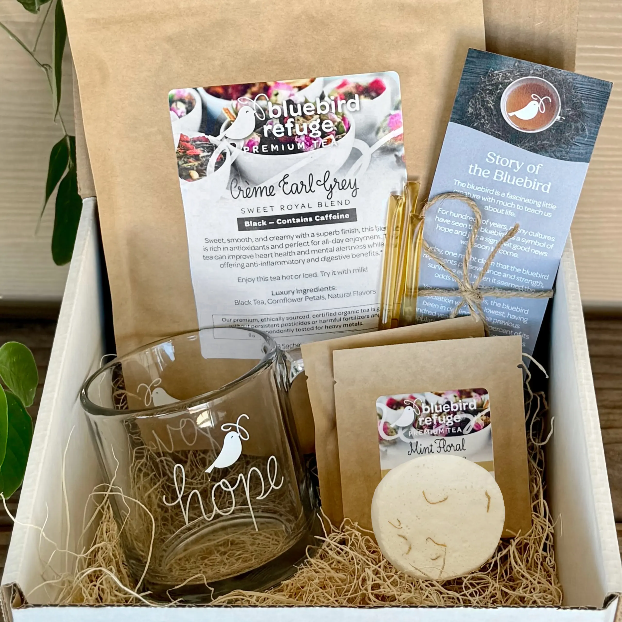 Cozy Moments Gift Box, Bluebird Refuge