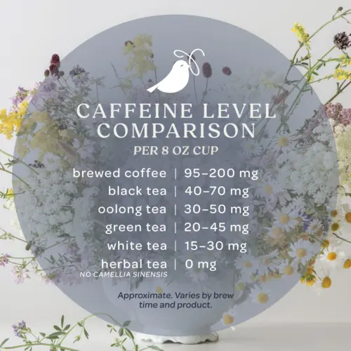 Caffeine Level Comparison